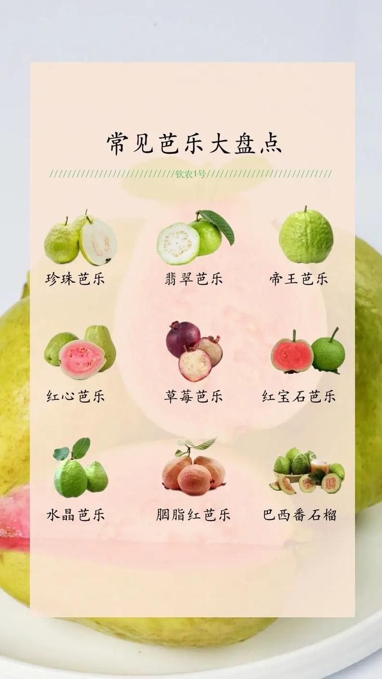石榴和番石榴,到底谁更美味?