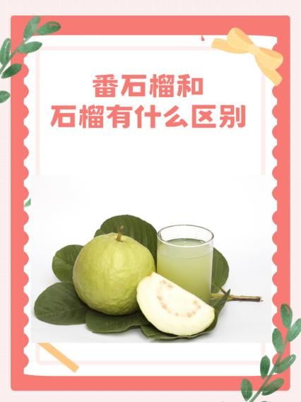 石榴和番石榴,到底谁更美味?