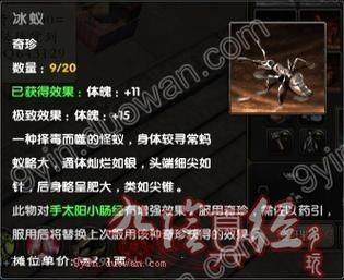 九阴真经奇珍:稀有宝物,助你纵横江湖