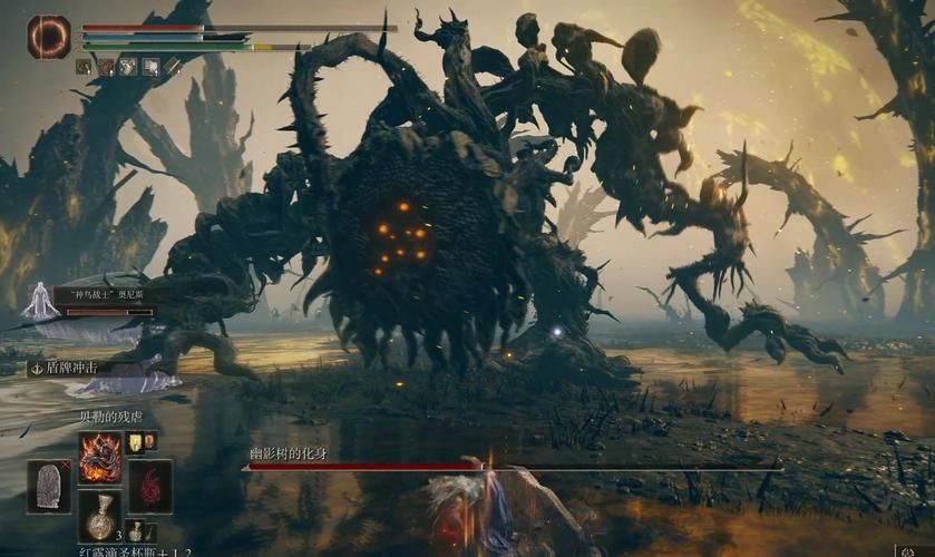 诺森德仁德会:加入环保行动