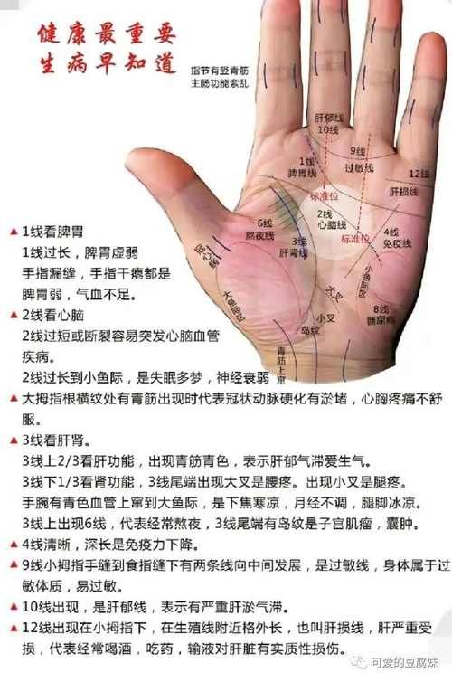 生命线攻略:手把手教你救泰勒