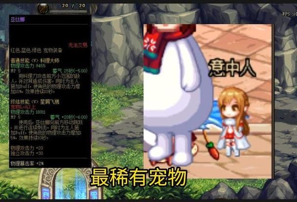 DNF最强宠物大白兔？玛巴斯宠物实战效果如何？