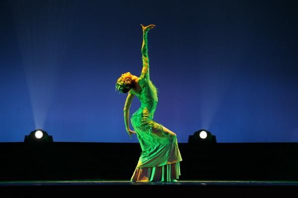 探索SGamer:一个充满激情的游戏玩家社区