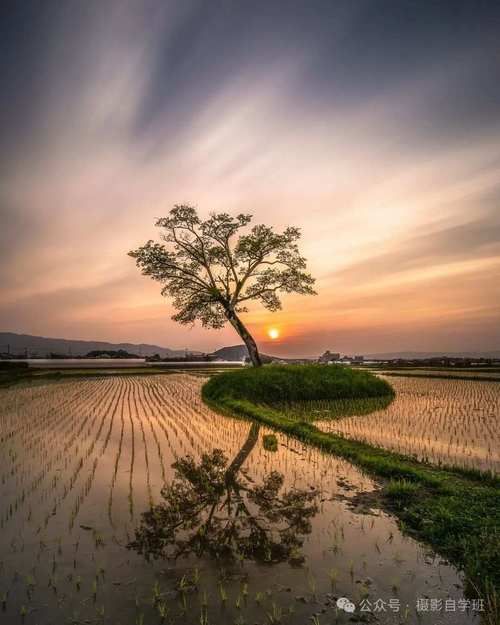 大宗交易查询技巧:帮你快速掌握市场动态