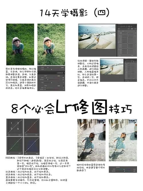 LR宝宝技能学习方法：快速解锁所有技能