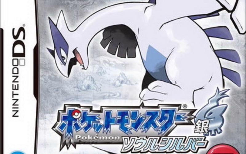 口袋妖怪银魂：快速升级和战斗技巧分享