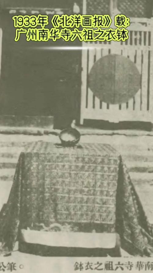 昔日贵妇今何在?探秘堕落背后的真相