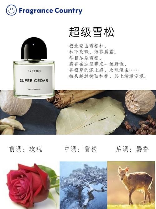 初级冰霜痕迹作用详解：提升游戏效率技巧