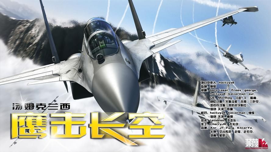 鹰击长空汉化补丁安装教程:轻松体验中文版