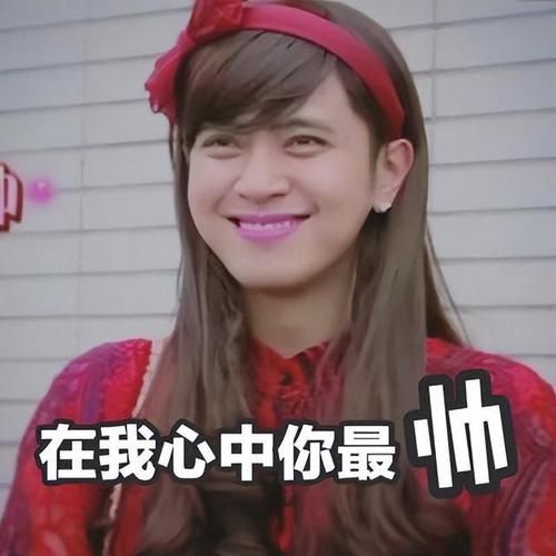 罗志祥表情包:你值得拥有!