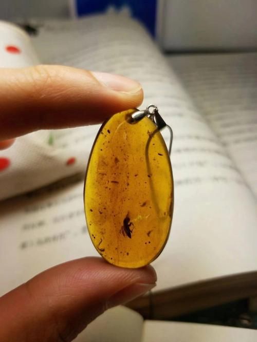 恐惧琥珀碎片掉落地点及获取技巧:高效刷取攻略