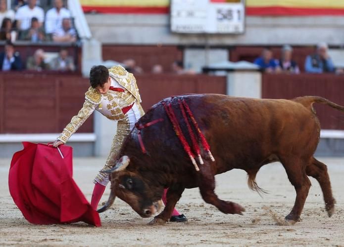 想玩斗牛?简单易懂的斗牛游戏玩法介绍