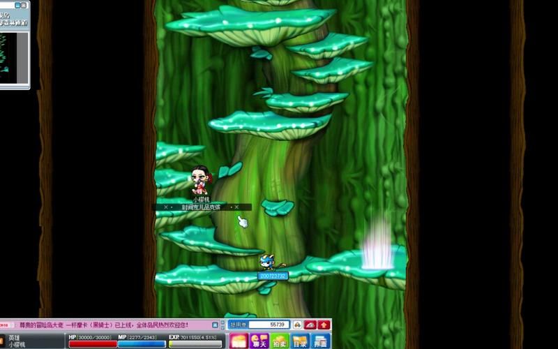 冒险岛魔法密林隐藏入口!带你探索神秘之地