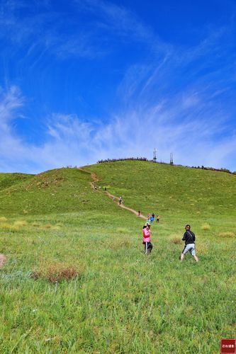 阳光下的真实:这款游戏究竟隐藏了什么秘密