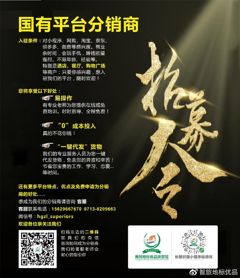 广州阿里分销商招募:低门槛高收益,成就你的电商梦想