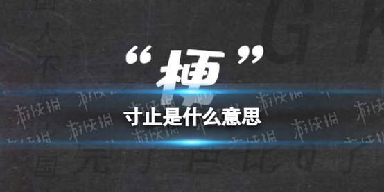 网络热词寸止是啥意思?带你了解寸止的真正含义