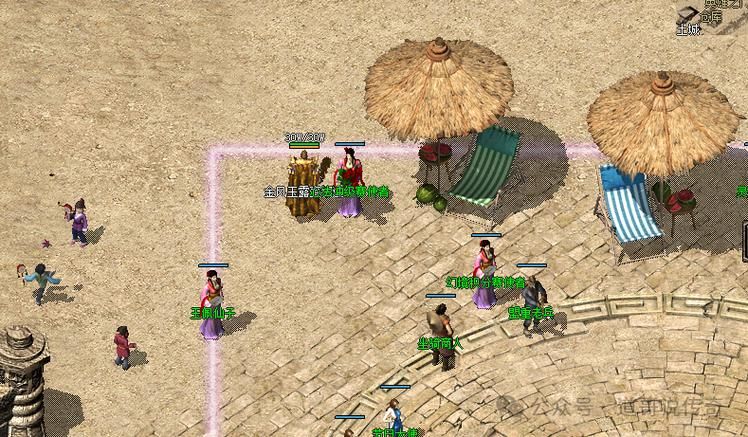 盟重新城传奇手游:百花齐放,传奇新体验