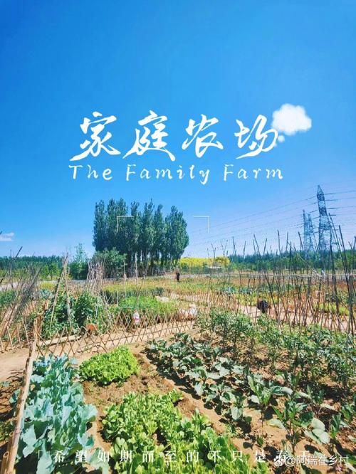 你的农场生活:种田养畜,烹饪美食,经营你的专属农场