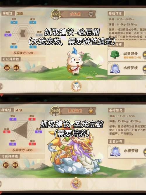 西普大陆精灵对战技巧:如何打赢对手