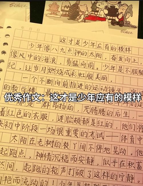 麦迪文的日记：从少年到守护者的传奇之路
