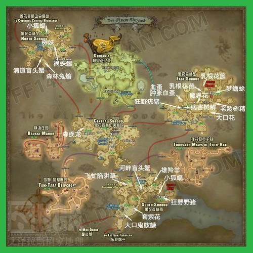 FF14钓鱼进阶攻略:掌握高级技巧成为钓鱼大师