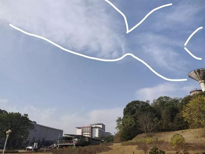 那些年我们一起玩的云顶S1阵容:卡特、拉面熊哪个更强?