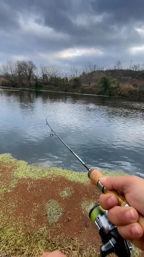 外域钓鱼日常:新手钓鱼任务指南