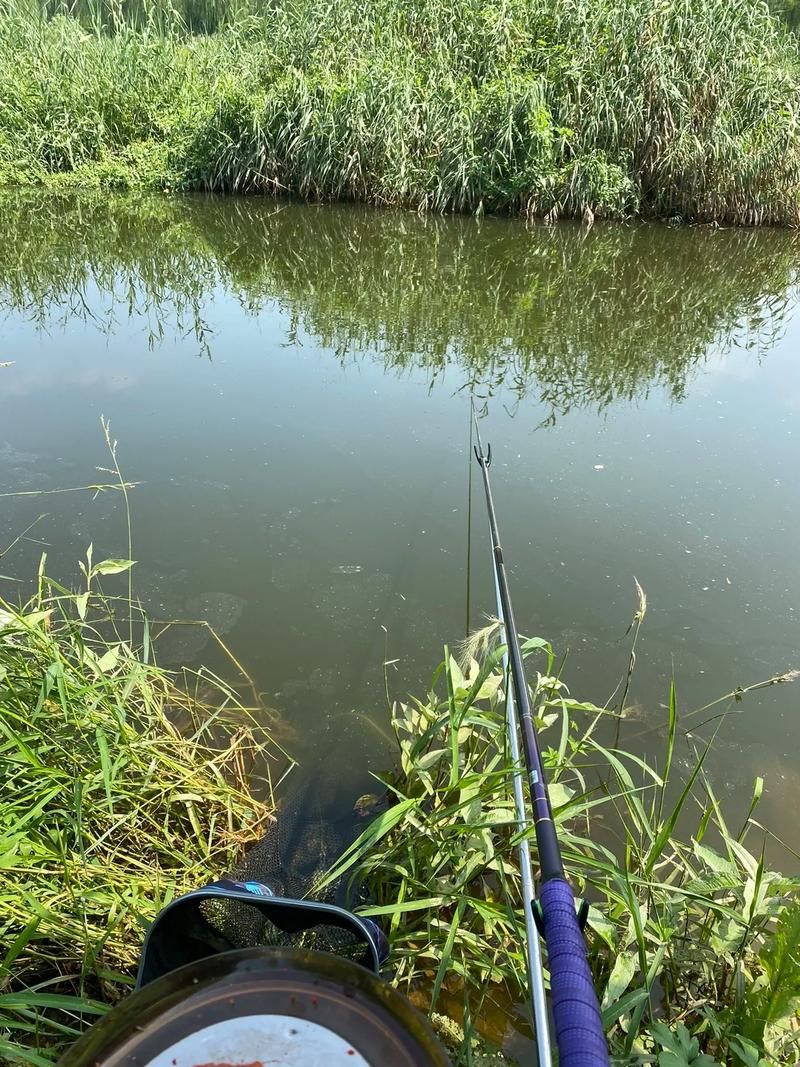 外域钓鱼日常:新手钓鱼任务指南