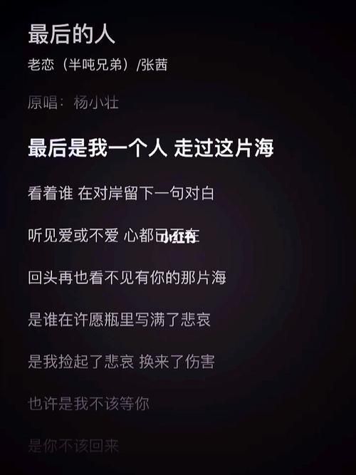 寻找最后的人歌词？这里有高清完整版歌词