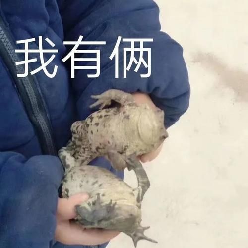 “有1吗”什么梗？  原来是麻辣鸡粉丝喊出来的