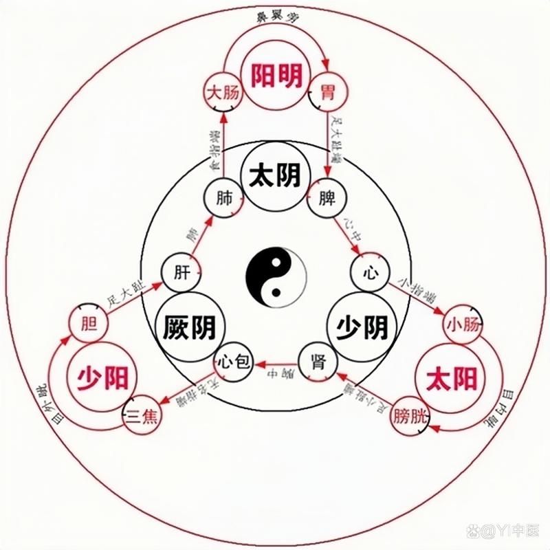 梦幻奇经八脉点法大全:助你轻松成为游戏高手