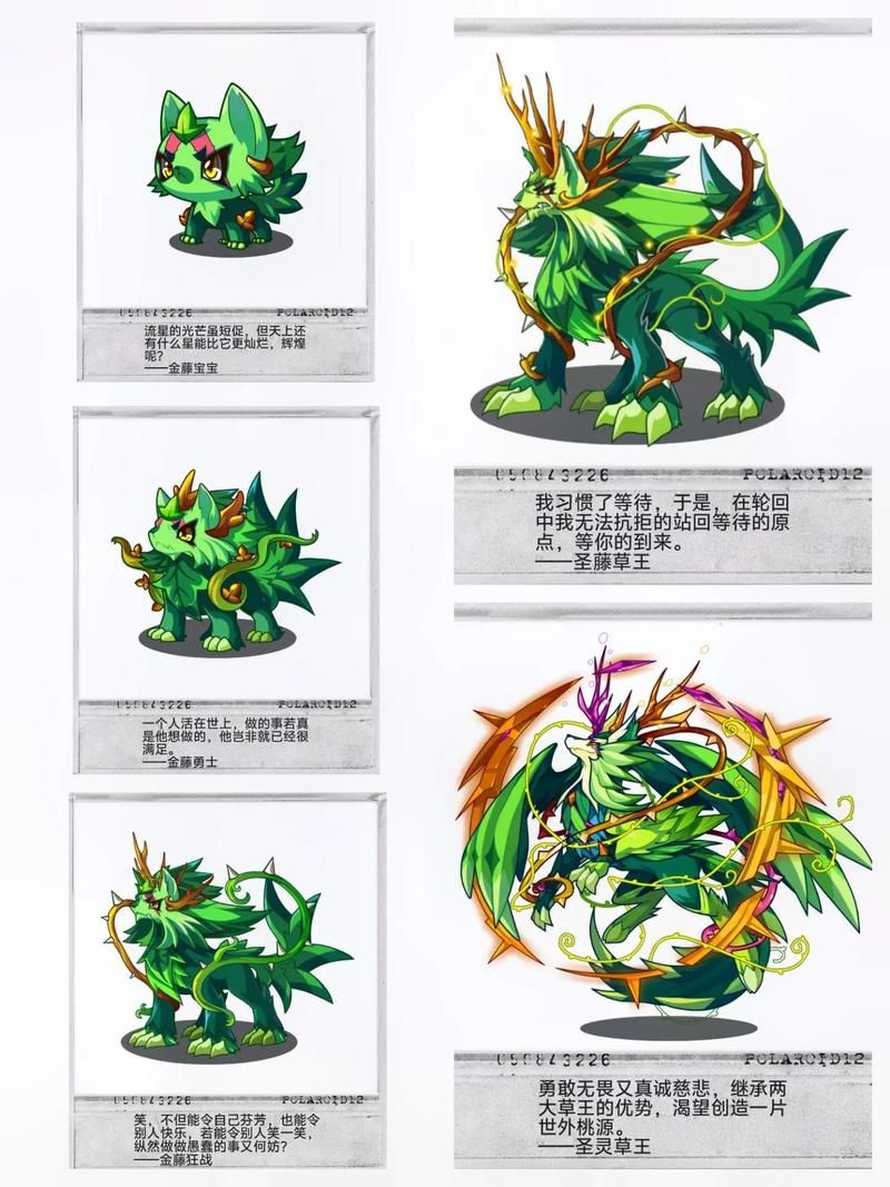 洛克宠物大全：从新手到高手，全面掌握洛克宠物知识！