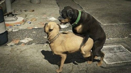 少儿不宜游戏盘点  你玩过几个？