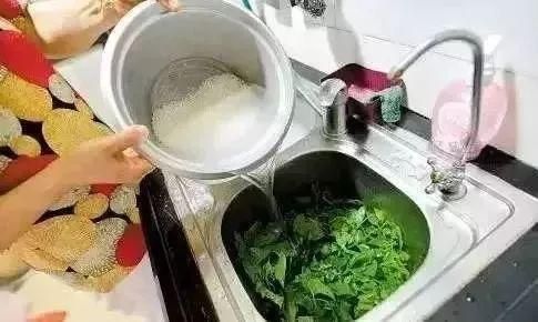 热水还是凉水淘米？揭秘淘米用水的小秘密