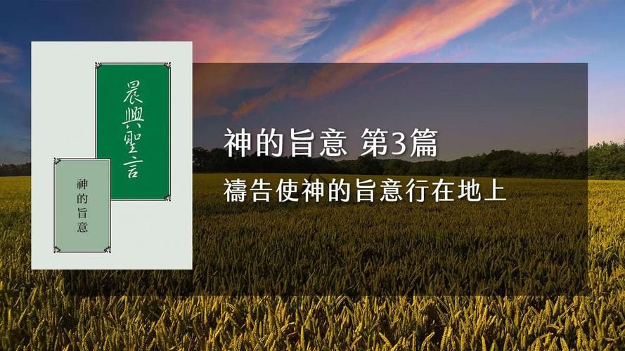 想玩转神的旨意？这篇攻略你值得拥有