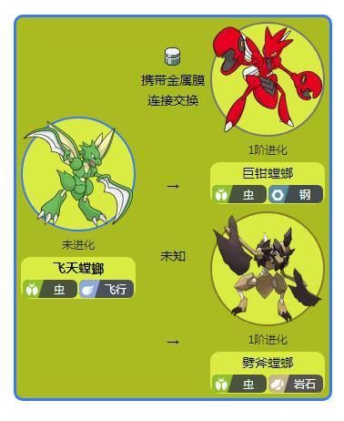 螳螂进化顺序图解：一文看懂最佳选择