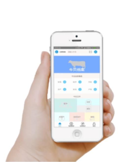 手机APP快速办理个税退税：完整申请流程指南