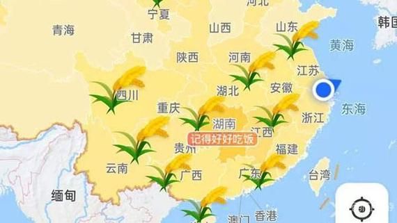 高德地图悄悄上线水稻地图，致敬袁爷爷！