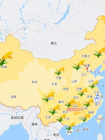 高德地图悄悄上线水稻地图，致敬袁爷爷！