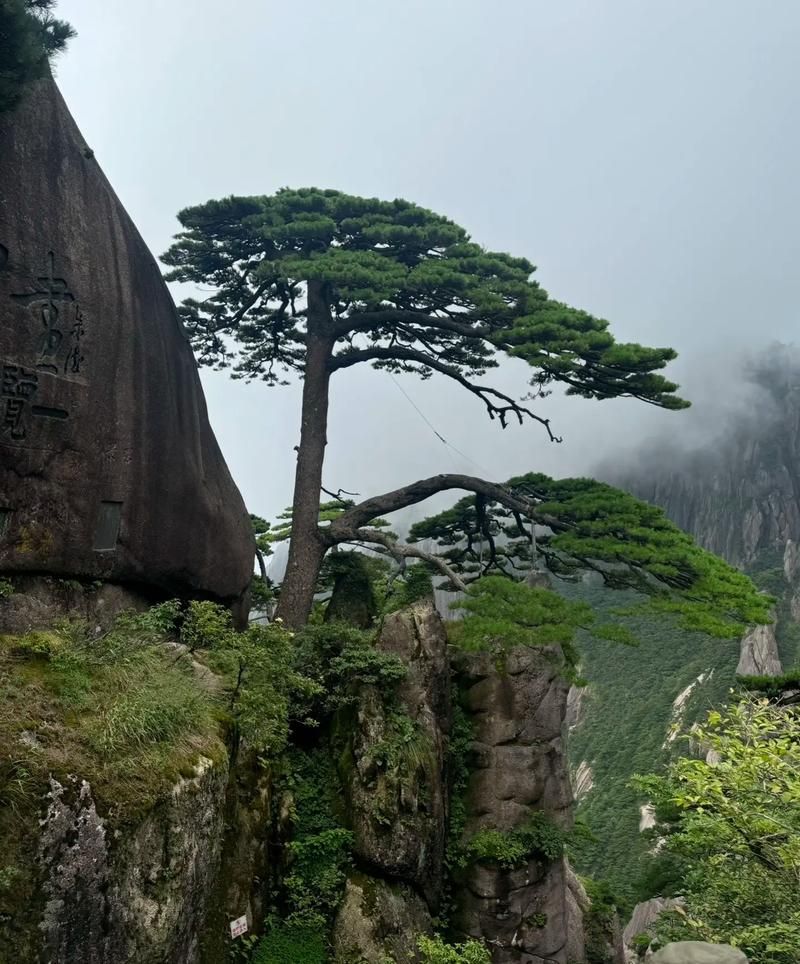 资深保姆成就：从黄山到杭州，阿姨用镜头记录生活