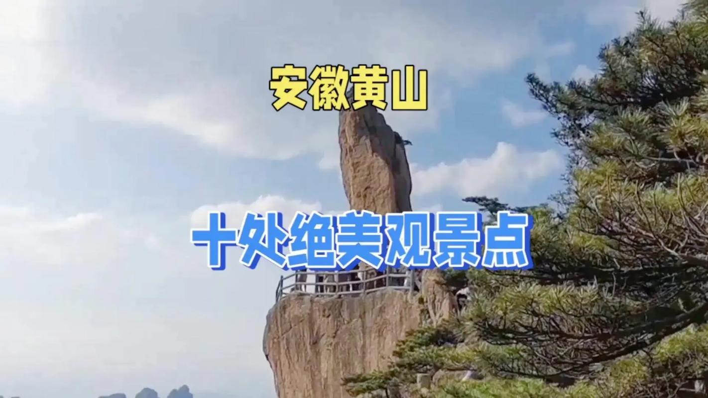 资深保姆成就：从黄山到杭州，阿姨用镜头记录生活