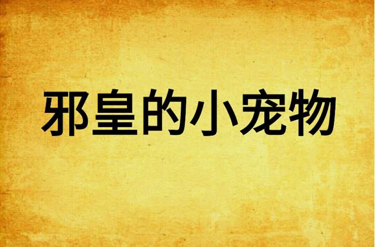 邪皇的小宠物：谁才是真正的掌控者？