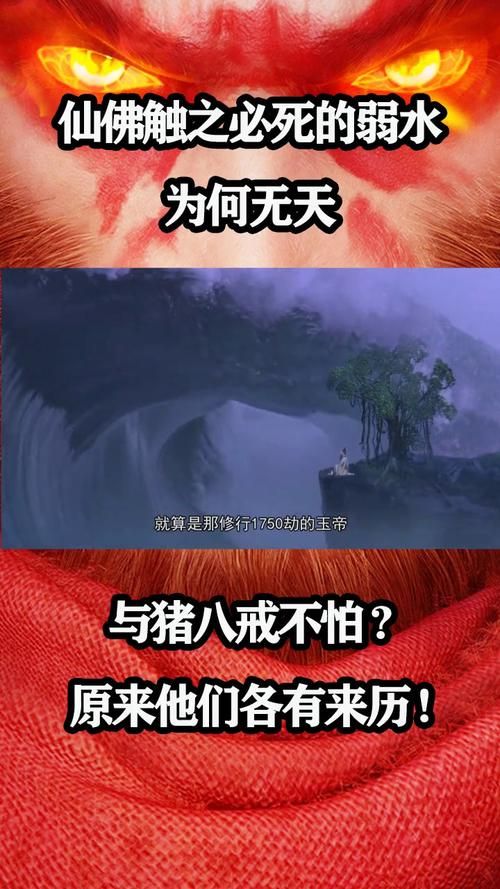 解密神仙道：仙猪八戒的隐藏故事与强大之处