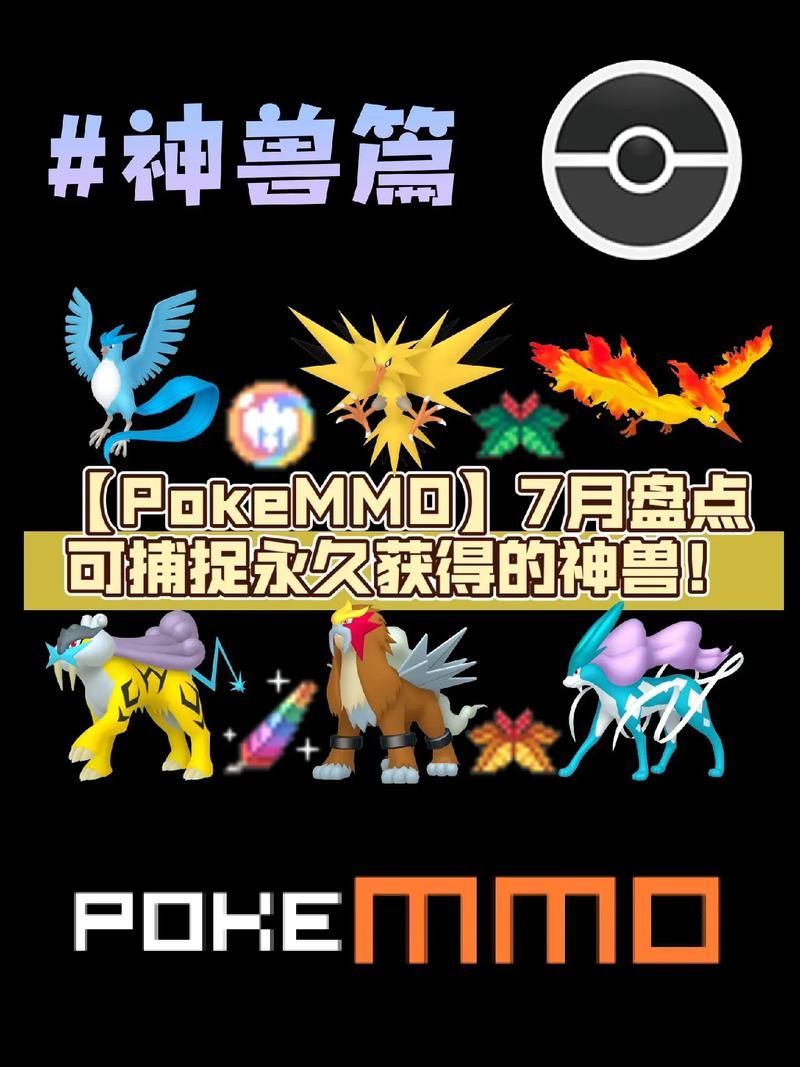 Pokey是什么意思？含义详解及例句用法