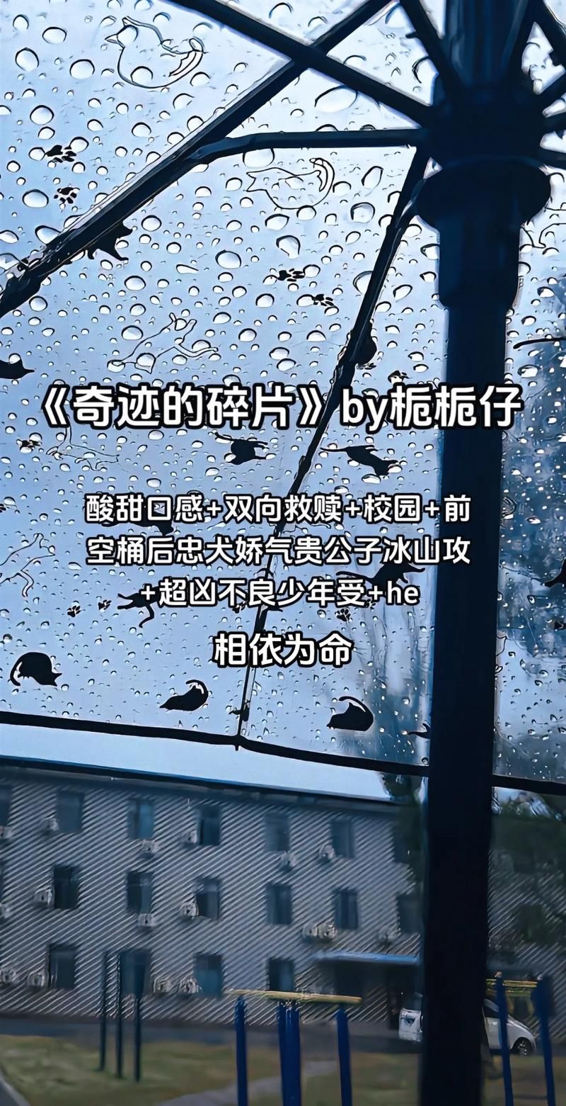 奇迹的碎片：一段寻找奇迹的旅程，你准备好了吗？