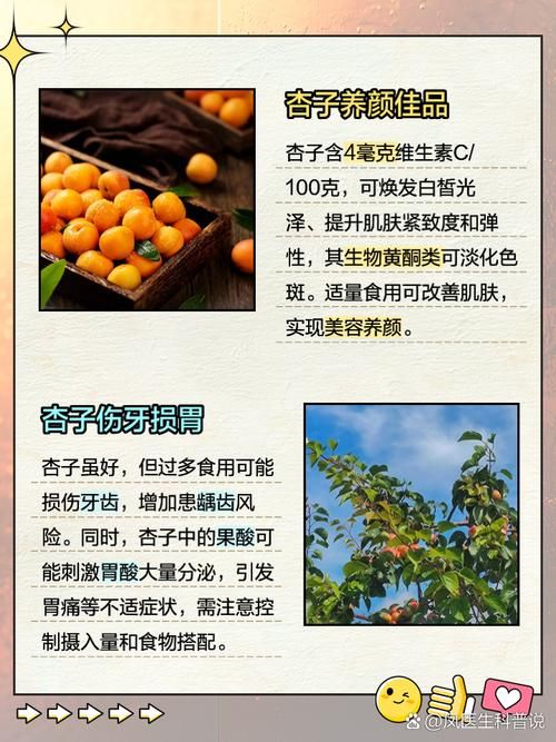 不会说杏子的英文？教你快速掌握apricot的读音和用法