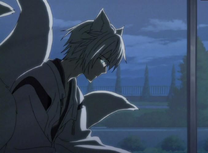 妖狐×仆SS：御狐神君的魅力你无法抵挡