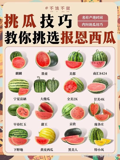 如何下载安装新版西瓜视频：快速观看方法