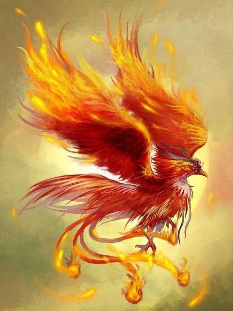 传说中的黄金神兽：西藏发现神秘金色生物？