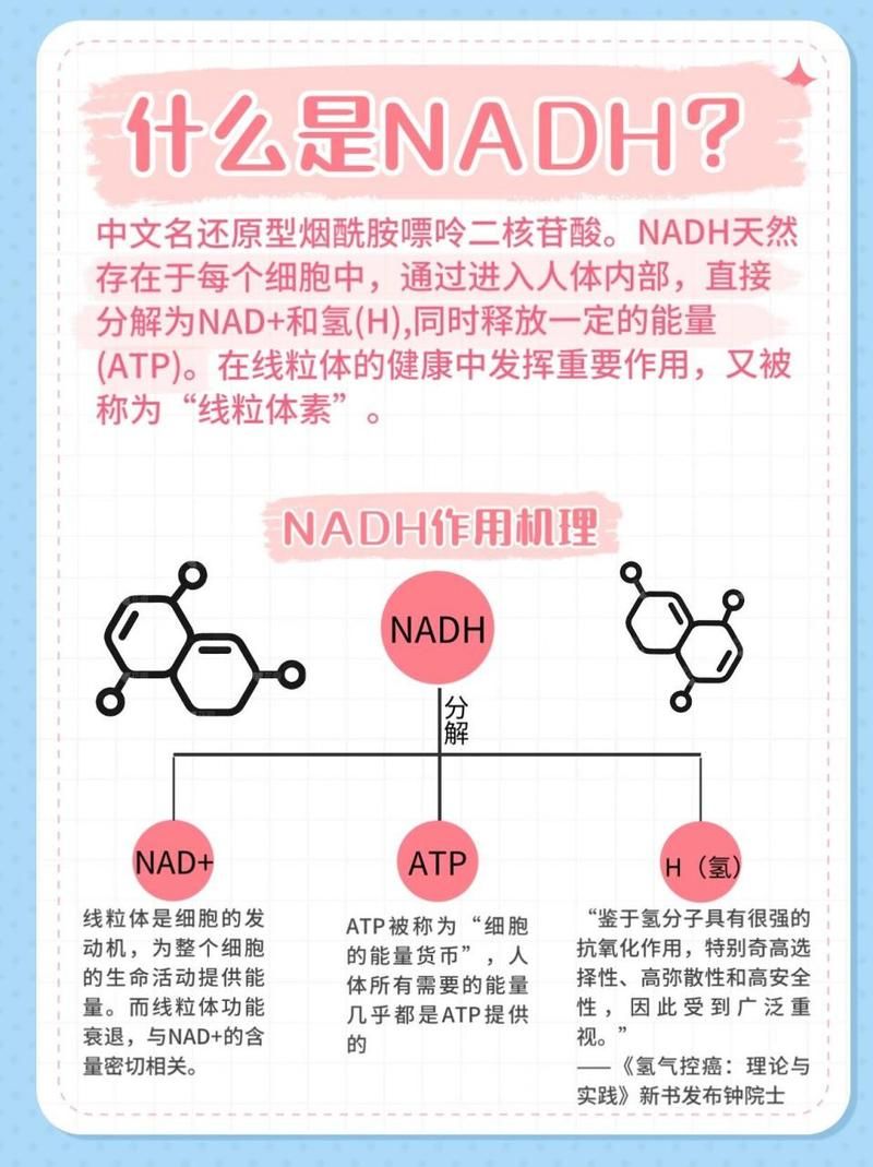 深度解读Nadesico：剧情设定与时代背景